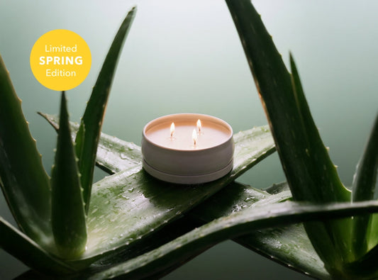 Cucumber Aloe 3-Wick Candle