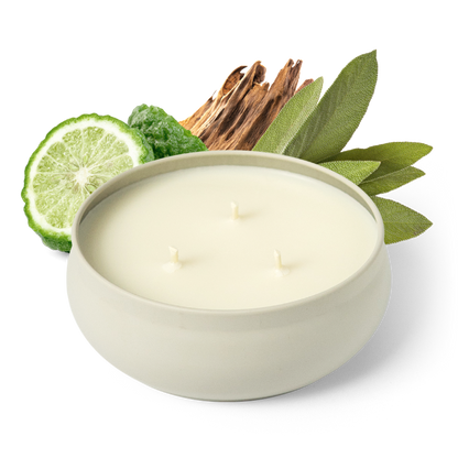Pacific Driftwood 3-Wick Candle